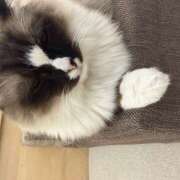 ヒメ日記 2026/02/18 18:07 投稿 もも ∞ (はっち)