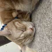 もも ももです🍑 ∞ (はっち)