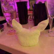 ヒメ日記 2026/03/03 19:20 投稿 もも ∞ (はっち)