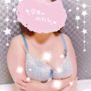 ヒメ日記 2025/11/27 15:18 投稿 あゆみ 宮城仙南ちゃんこ