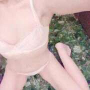 ヒメ日記 2025/11/27 23:48 投稿 ☆あさ☆ ◆プラウディア◆AAA級素人娘在籍店