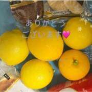 ヒメ日記 2025/12/31 21:28 投稿 つばさ 木更津人妻花壇