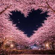 ヒメ日記 2026/04/01 13:17 投稿 つばさ 木更津人妻花壇