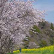 ヒメ日記 2026/04/08 09:51 投稿 つばさ 木更津人妻花壇
