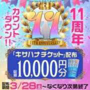 ヒメ日記 2026/04/12 10:19 投稿 つばさ 木更津人妻花壇
