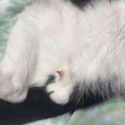 ヒメ日記 2025/12/01 19:25 投稿 ひより メンヘラ専門デリヘル ゼロワン 横浜本店