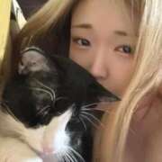 ヒメ日記 2025/12/23 00:40 投稿 ひより メンヘラ専門デリヘル ゼロワン 横浜本店