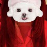 ヒメ日記 2025/11/20 00:04 投稿 あいか 神田はっち