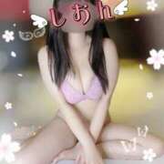 ヒメ日記 2025/11/19 14:45 投稿 『しおん』 ESSENCE