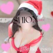 ヒメ日記 2025/12/19 07:15 投稿 『しおん』 ESSENCE