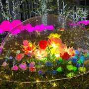 ヒメ日記 2025/11/25 21:12 投稿 いろは あげまん 西中島店