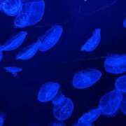 ヒメ日記 2025/12/04 12:56 投稿 いろは あげまん 西中島店