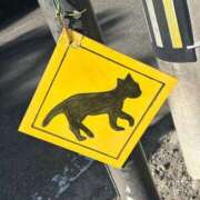 ヒメ日記 2026/01/21 20:17 投稿 いろは あげまん 西中島店