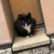 ヒメ日記 2026/01/31 20:52 投稿 いろは あげまん 西中島店