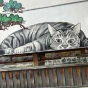 ヒメ日記 2026/02/01 20:29 投稿 いろは あげまん 西中島店