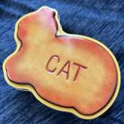 ヒメ日記 2026/02/11 09:02 投稿 いろは あげまん 西中島店