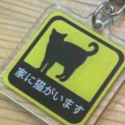 ヒメ日記 2026/02/11 11:37 投稿 いろは あげまん 西中島店