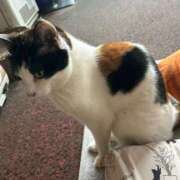 ヒメ日記 2026/03/09 08:32 投稿 いろは あげまん 西中島店