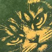 ヒメ日記 2026/03/13 20:12 投稿 いろは あげまん 西中島店