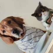 ヒメ日記 2026/03/14 13:01 投稿 いろは あげまん 西中島店