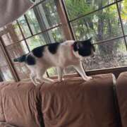 ヒメ日記 2026/03/14 21:23 投稿 いろは あげまん 西中島店