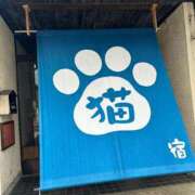 ヒメ日記 2026/03/15 20:36 投稿 いろは あげまん 西中島店