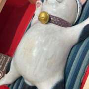 ヒメ日記 2026/04/01 08:52 投稿 いろは あげまん 西中島店