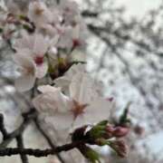 ヒメ日記 2026/04/03 22:37 投稿 いろは あげまん 西中島店