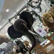 いろは 昨日の あげまん 西中島店