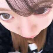 ヒメ日記 2025/11/30 02:11 投稿 るり ピンクコレクション大阪