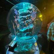 ヒメ日記 2025/12/13 00:31 投稿 るり ピンクコレクション大阪