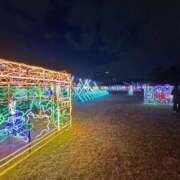 ヒメ日記 2025/12/25 17:51 投稿 るり ピンクコレクション大阪