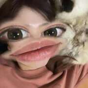 ヒメ日記 2026/01/24 01:21 投稿 るり ピンクコレクション大阪