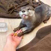 ヒメ日記 2026/03/13 09:01 投稿 るり ピンクコレクション大阪