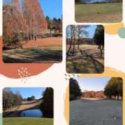 ヒメ日記 2025/12/08 12:10 投稿 せな 奥鉄オクテツ神奈川店（デリヘル市場グループ）