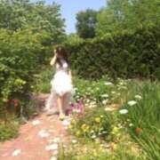 ヒメ日記 2026/03/04 18:41 投稿 【体験】やよい ママ友倶楽部