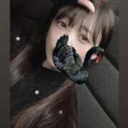 ヒメ日記 2026/04/07 12:19 投稿 ことり 恥じらいエステ