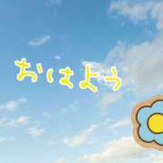 ヒメ日記 2025/11/20 08:19 投稿 つむぎ 兵庫加東小野ちゃんこ