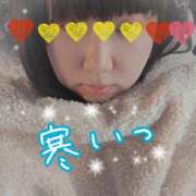 ヒメ日記 2025/11/30 08:52 投稿 つむぎ 兵庫加東小野ちゃんこ