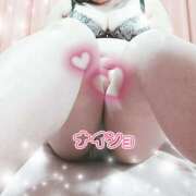 ヒメ日記 2025/12/11 16:18 投稿 つむぎ 兵庫加東小野ちゃんこ