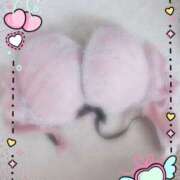 ヒメ日記 2025/12/27 14:33 投稿 つむぎ 兵庫加東小野ちゃんこ