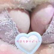 ヒメ日記 2025/12/28 01:20 投稿 つむぎ 兵庫加東小野ちゃんこ