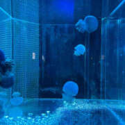 ヒメ日記 2026/02/23 09:08 投稿 つむぎ 兵庫加東小野ちゃんこ