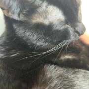 ヒメ日記 2026/03/14 12:48 投稿 ひいな ぐっどがーる浜松店