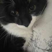 ヒメ日記 2026/03/22 22:28 投稿 ひいな ぐっどがーる浜松店