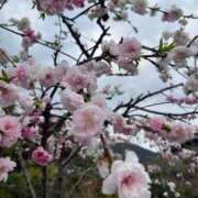 ヒメ日記 2026/03/28 15:18 投稿 ひいな ぐっどがーる浜松店