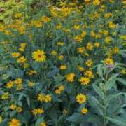 ヒメ日記 2025/11/19 19:32 投稿 はづき AVANCE福岡