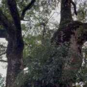 はづき 【お礼日記】資さん好きのあなた AVANCE福岡