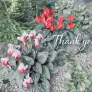 ヒメ日記 2026/03/16 22:15 投稿 はづき AVANCE福岡