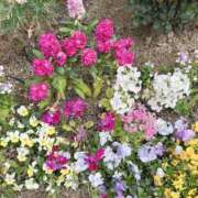 ヒメ日記 2026/03/24 18:54 投稿 はづき AVANCE福岡